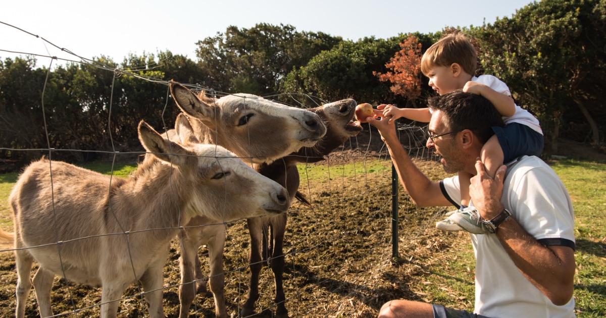 Urlaubs-Check: Falkensteiner Capo Boi, Sardinien