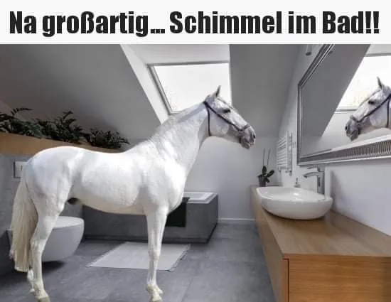 q6gqust2ytxd.webp