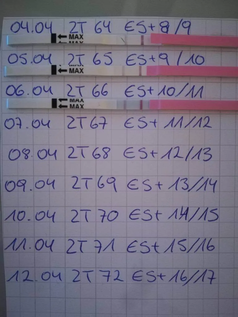 eo1koh08pw0y.webp
