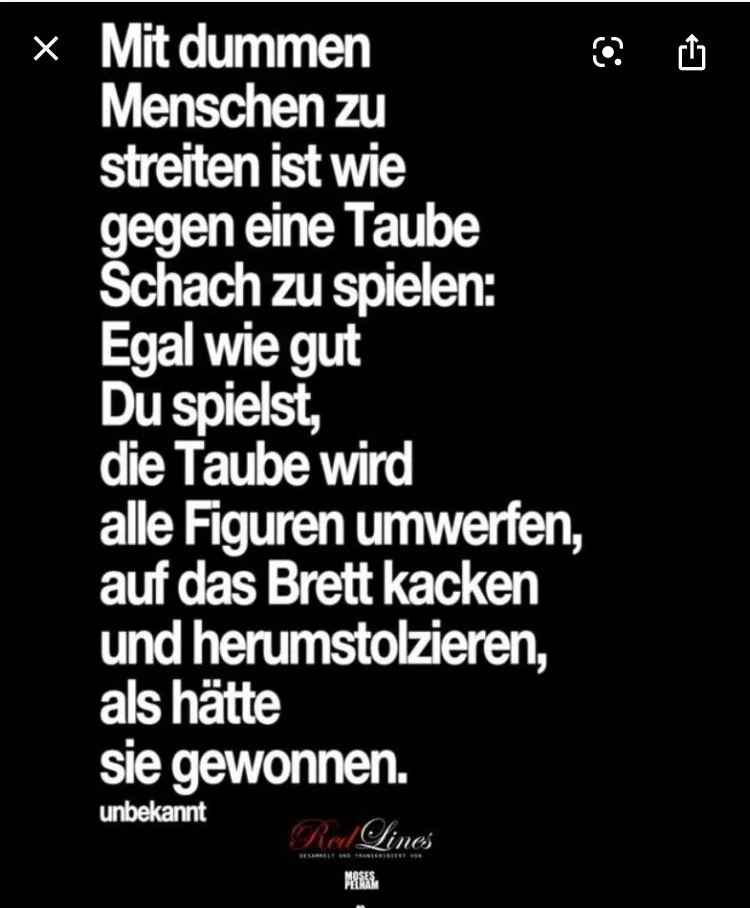 496elpp66vff.webp