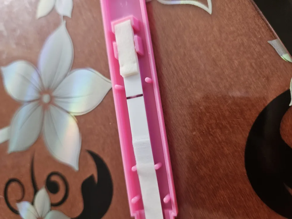 qeldw08f33xi.webp