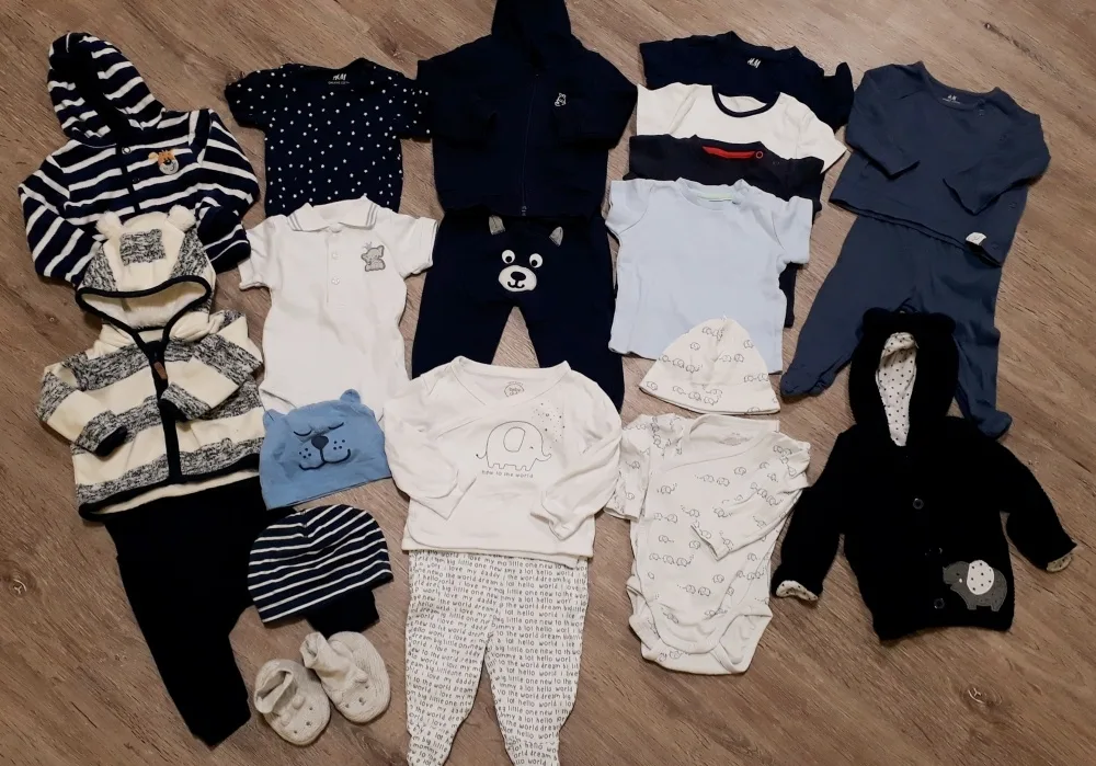 pivzcte1sixu.webp