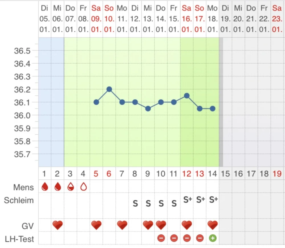 883yqdzjs436.webp