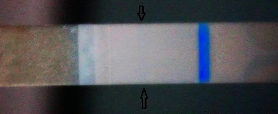 hjd4a5bfxbro.webp