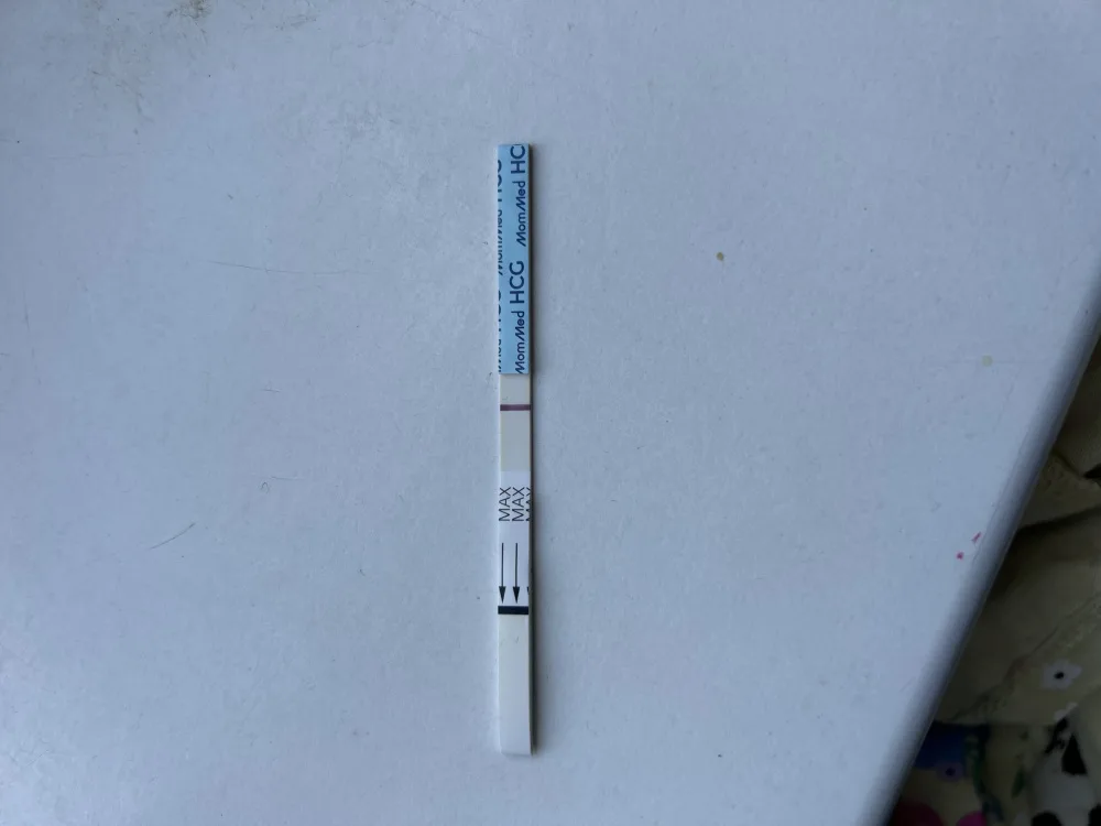 ewbs4a7dc389.webp