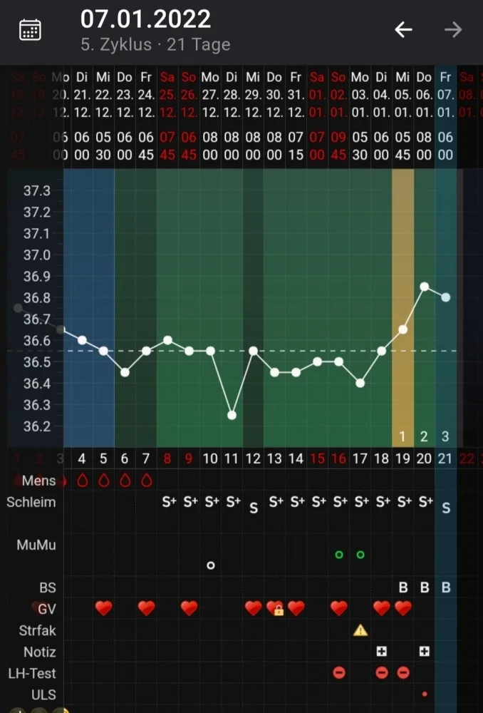 fuzsudubn1ox.webp