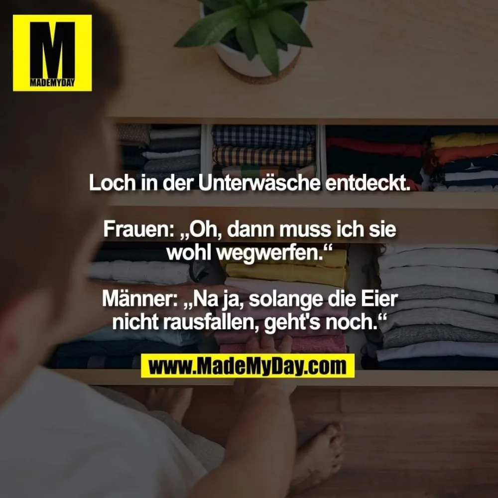 mvmdggbdnavv.webp