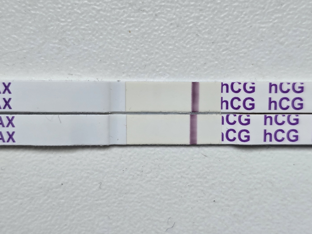 zn34cmobc19h.jpg