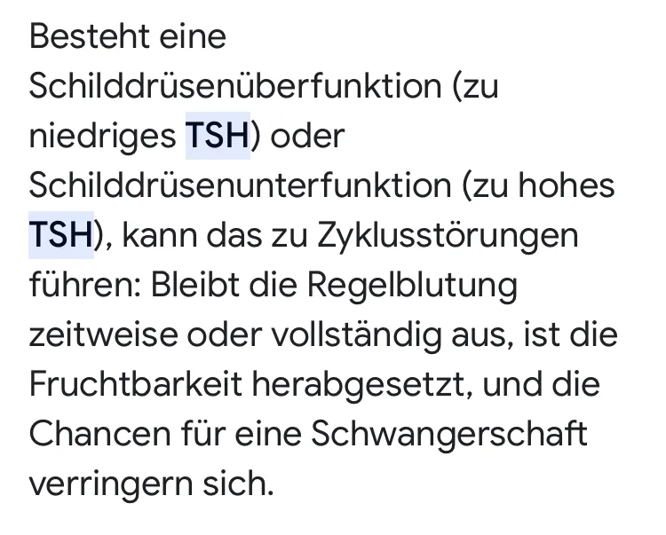 kiezlz5tykza.webp