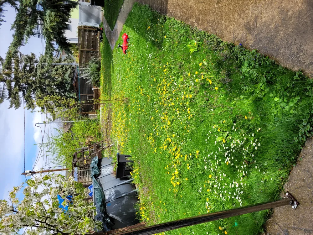 yziv1ybgd581.webp