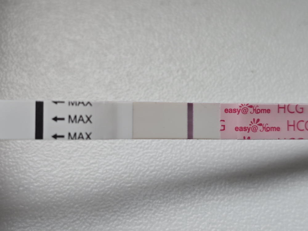 dt1dz40oxg3o.jpg