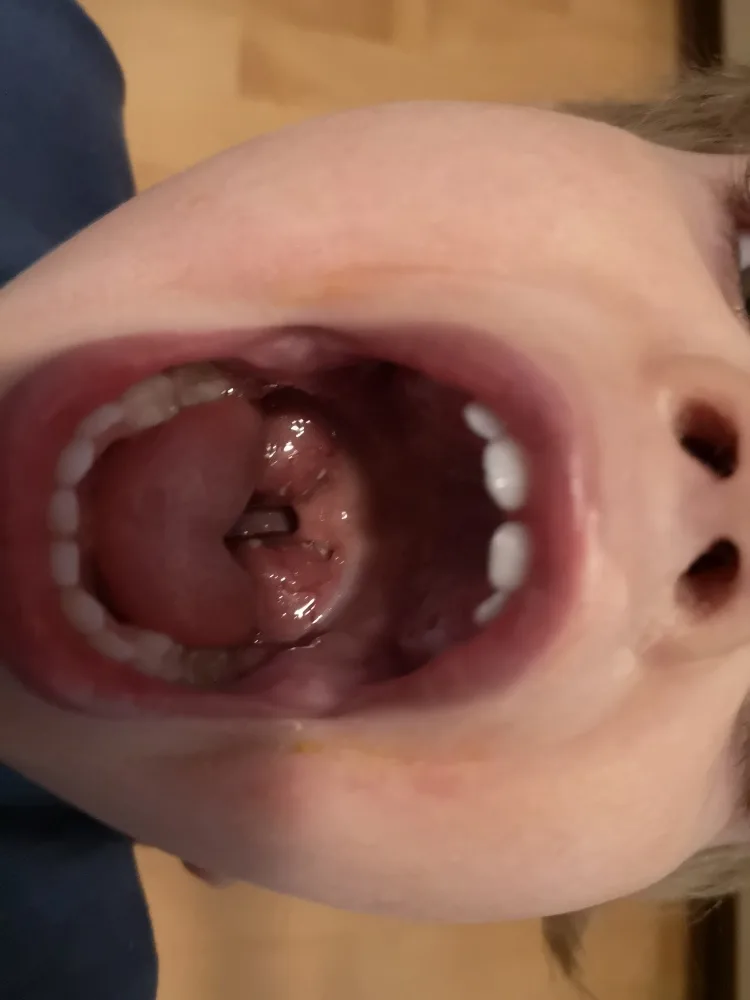 fopkhzrfzo0g.webp