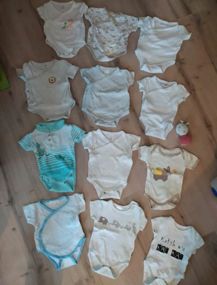 scja55292c7c.webp