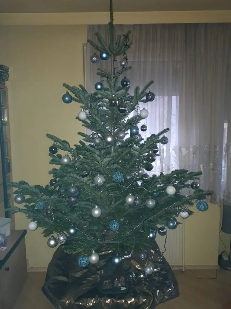dw4yhcafcnzj.webp