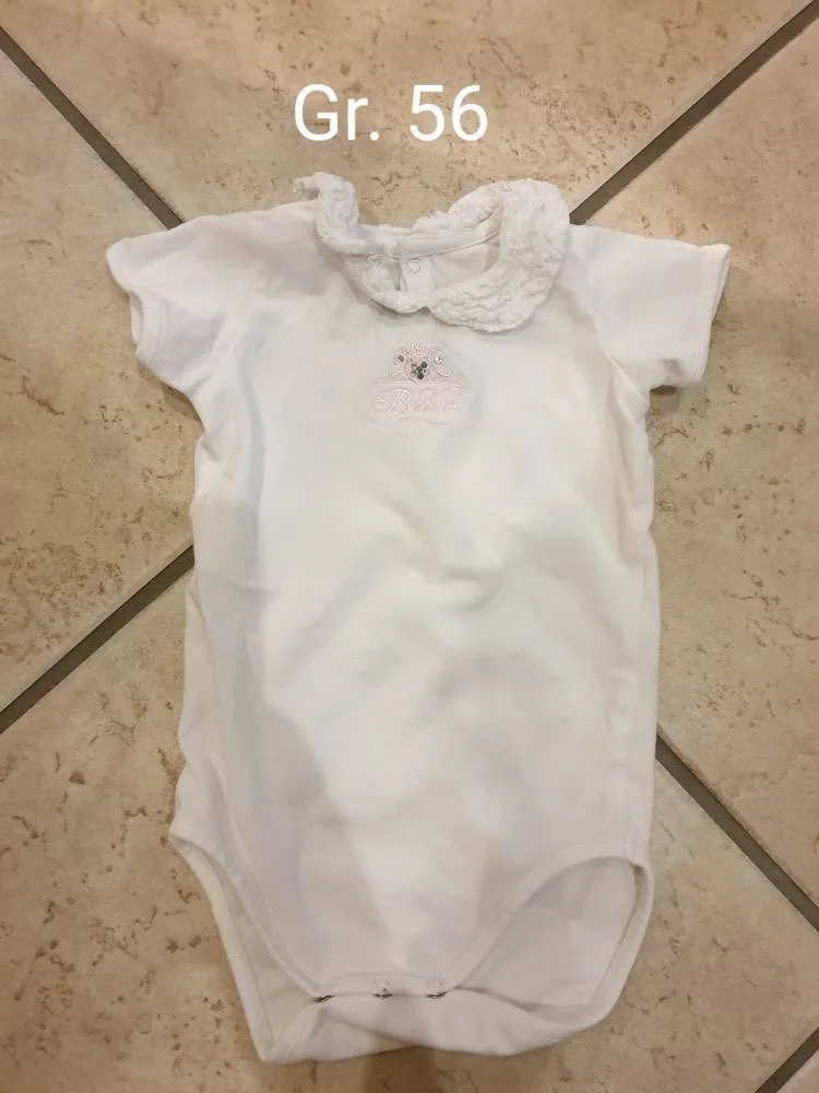 xlj0i10u9544.webp