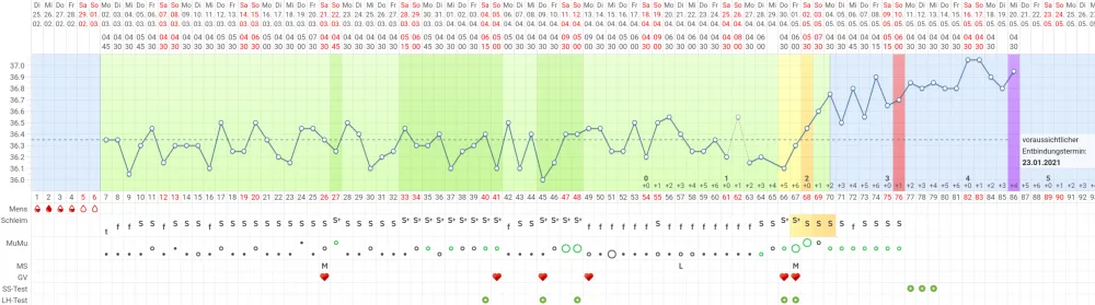 qcnnwr133rvz.webp