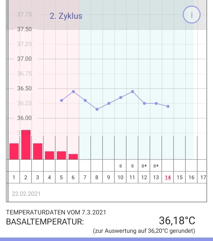 ib58k4p45pyw.webp