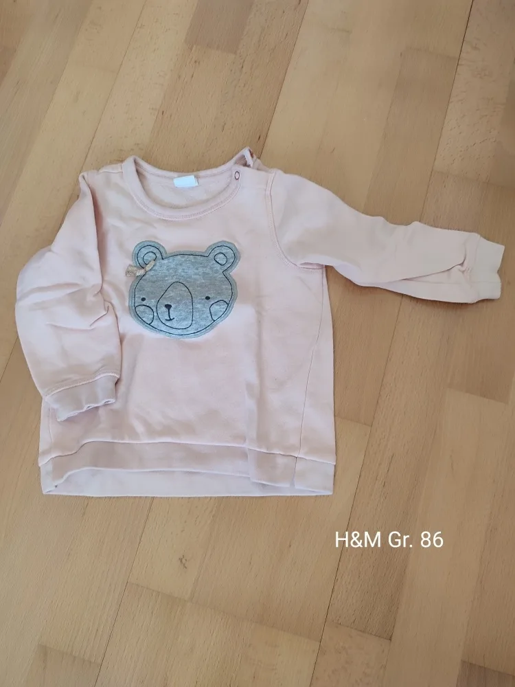 r55b4ee66y2l.webp