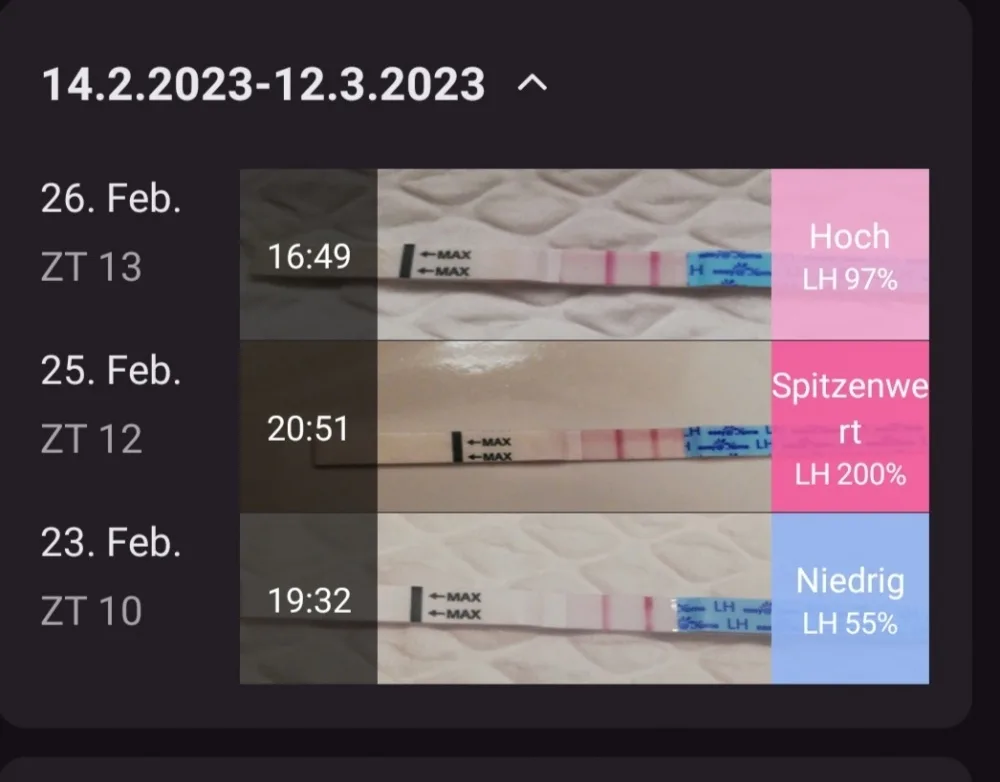 4udlyovmu5wx.webp