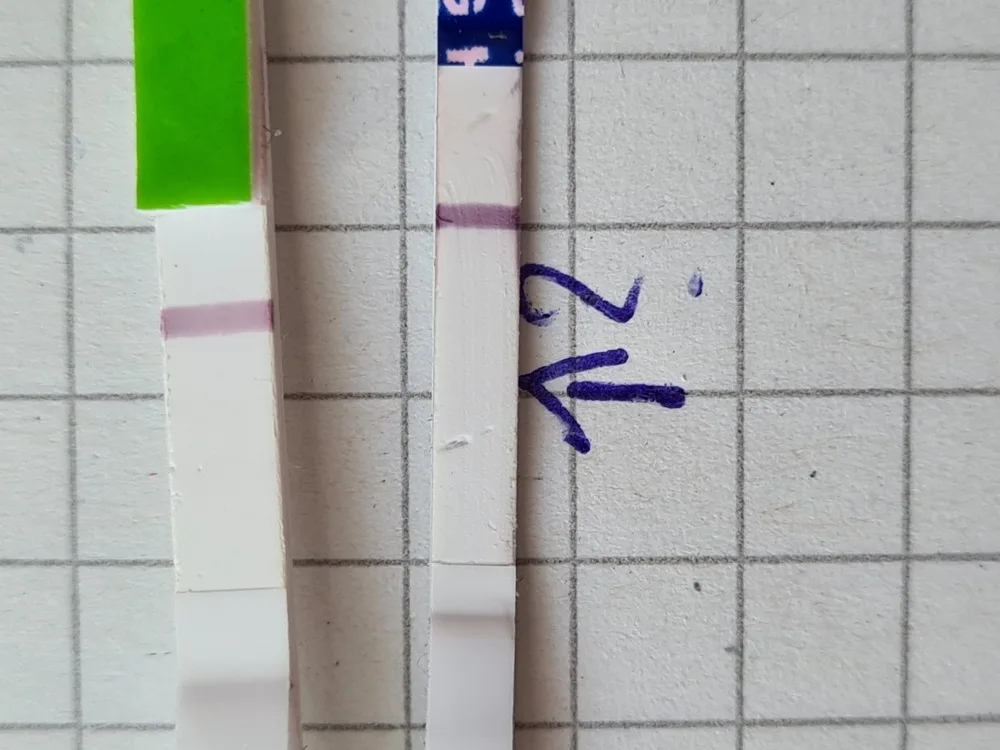 iv3bw69yxlys.webp