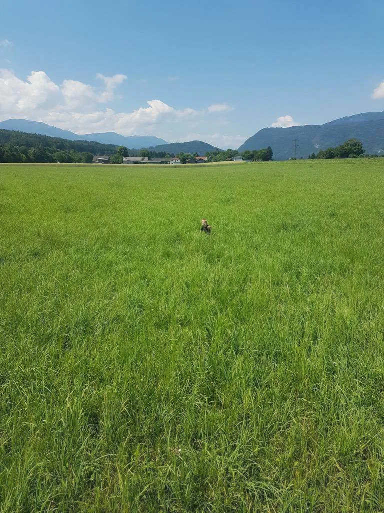 wr5cj0d46rrh.webp