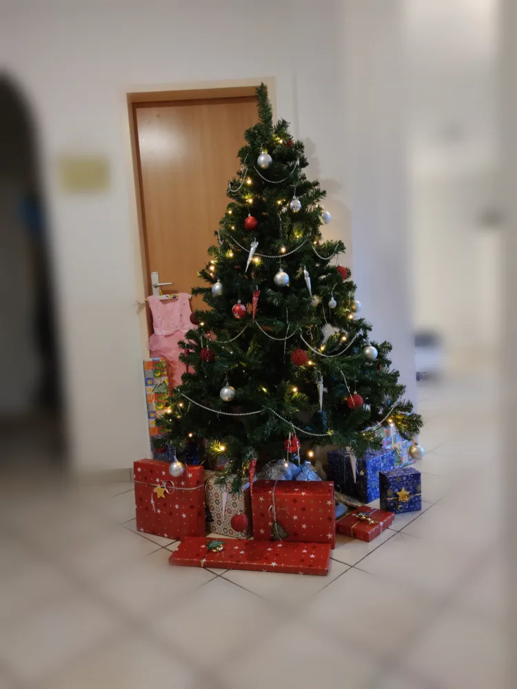 7d5yvmpd1fha.webp