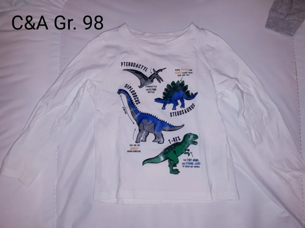 coug8caw82fe.webp