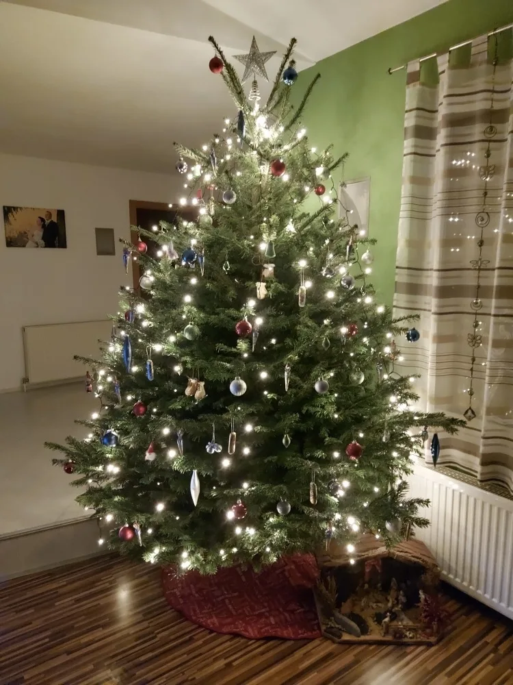 mz5vnussnjza.webp