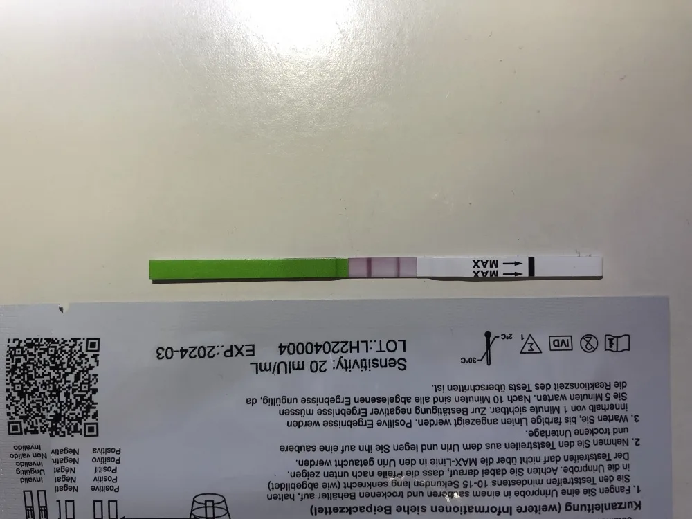 xov7i780djpi.webp