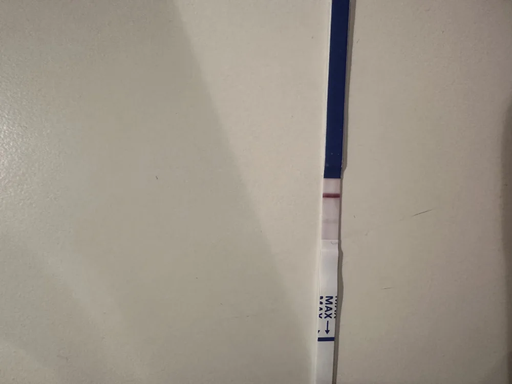 8ndp4rflk56i.webp