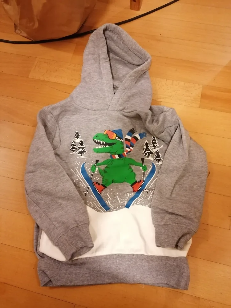 w0zdxbxku82a.webp