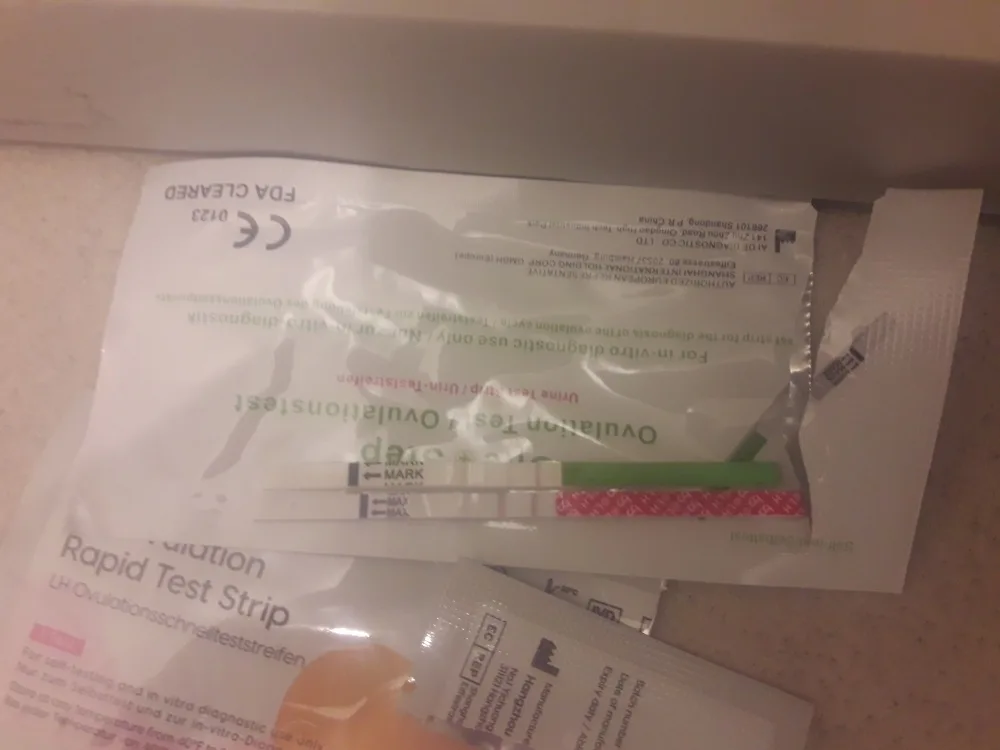 vnaqxf7rlhgg.webp