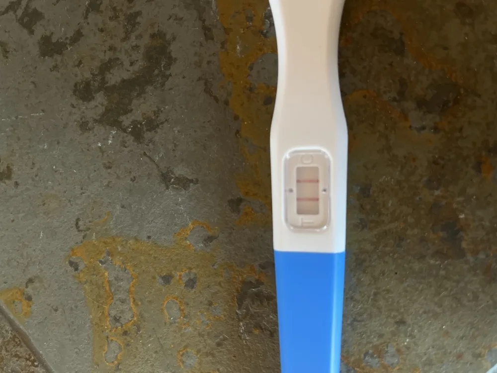 c2nl9k80ibji.webp