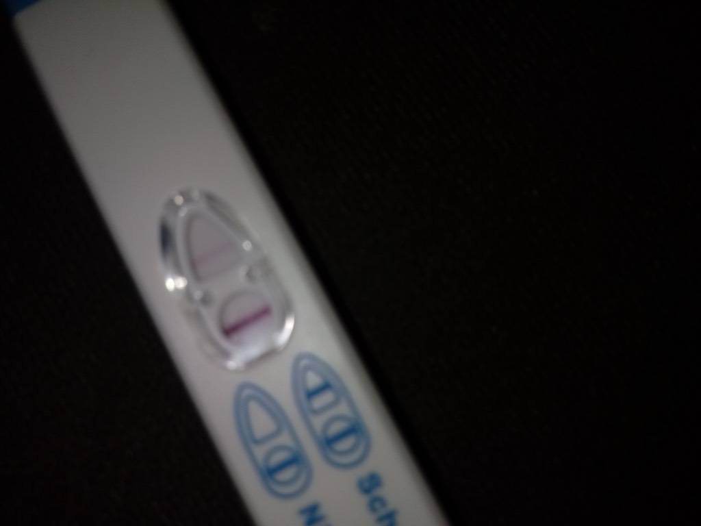 4a9ef123zoqw.jpg