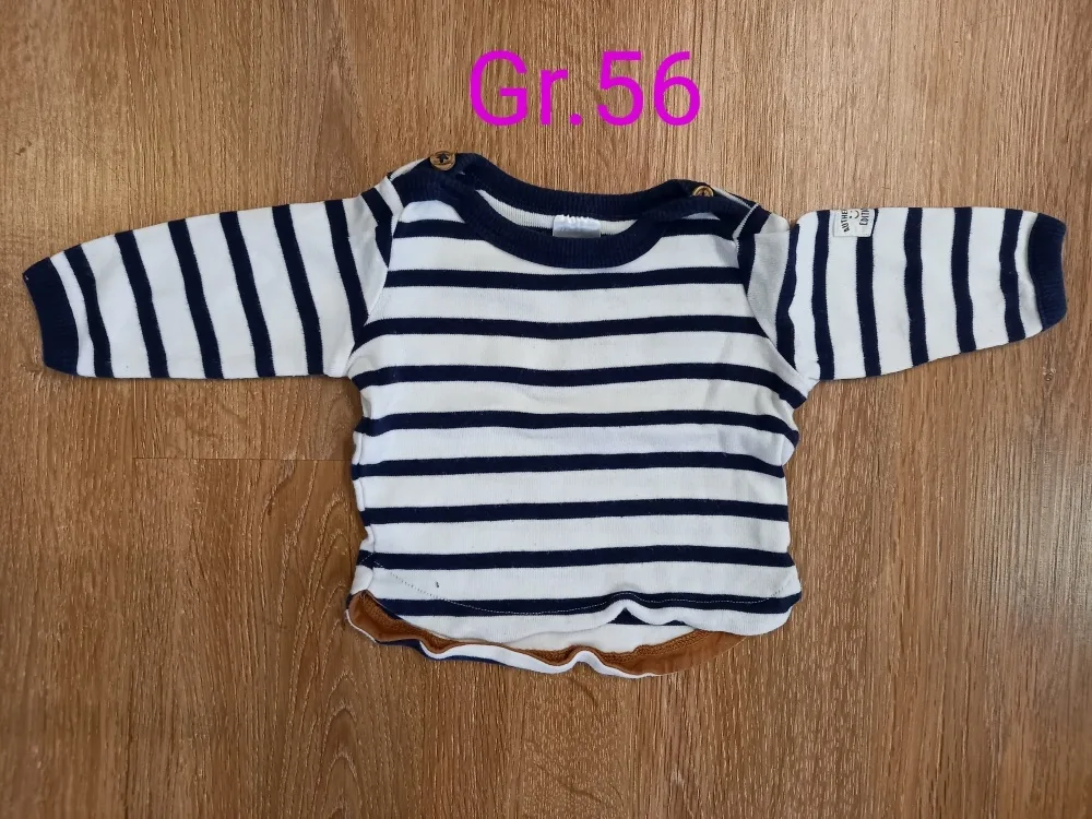 wj3j59gql50k.webp