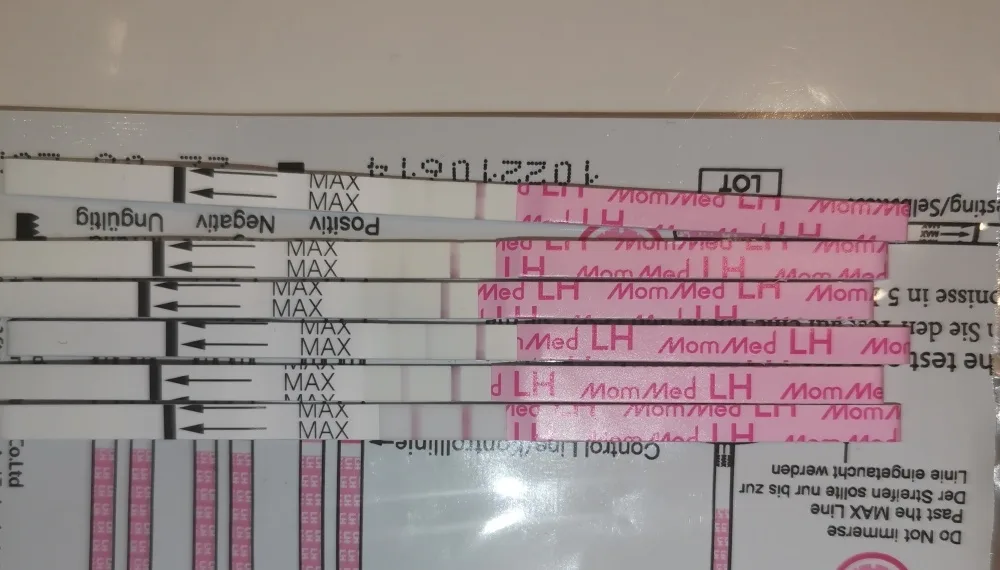 9b5bm1u9vgmi.webp
