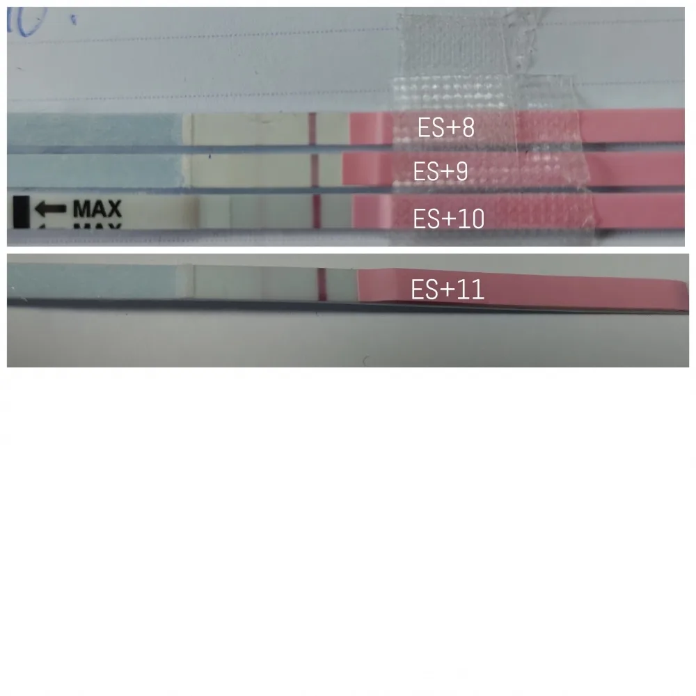 hk873k43zlcs.webp