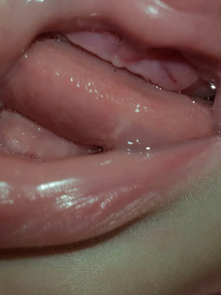 h0ts22fxr05y.webp
