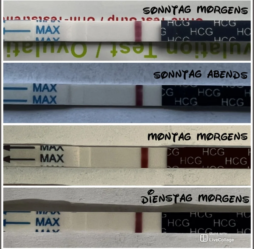 ab7nwpx57186.webp