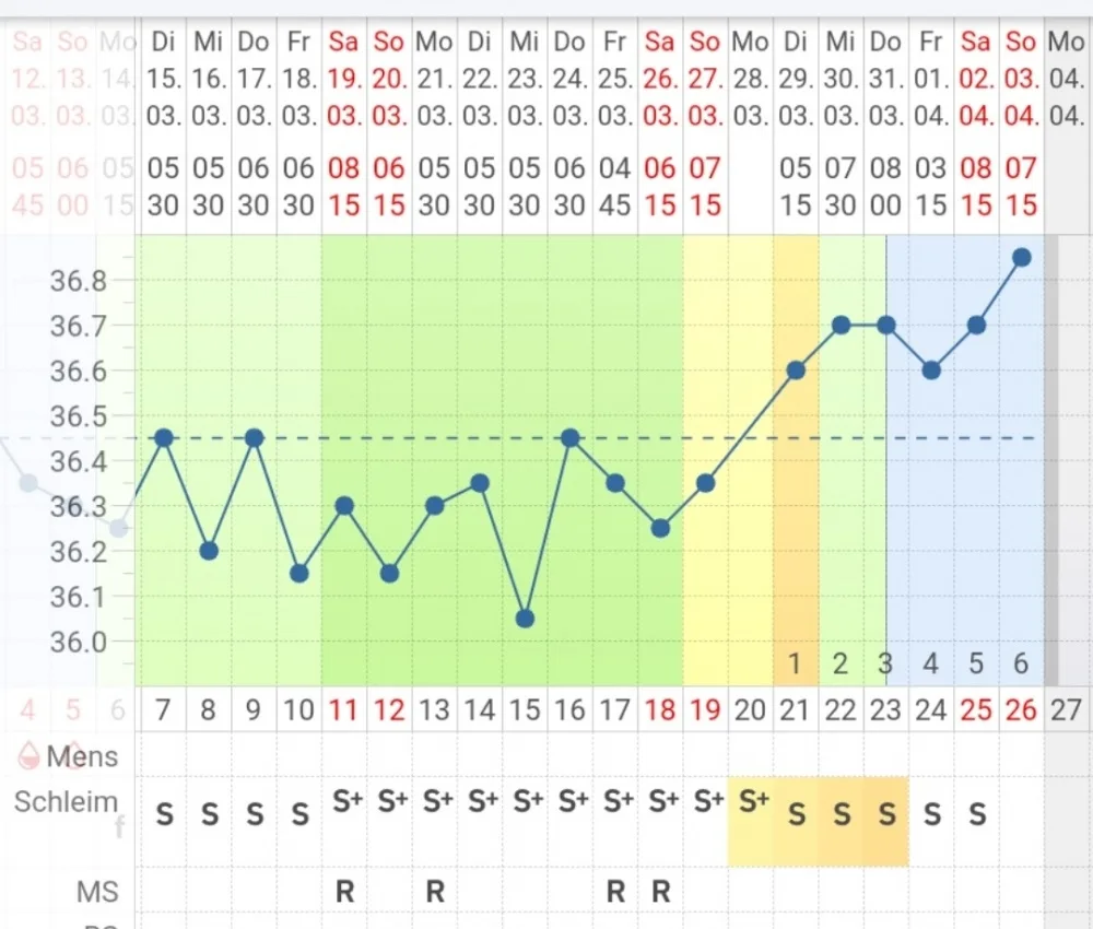 rq1jvcyhxdu2.webp