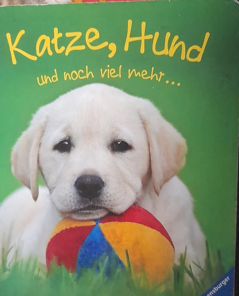 2b6p0kytxpxm.webp
