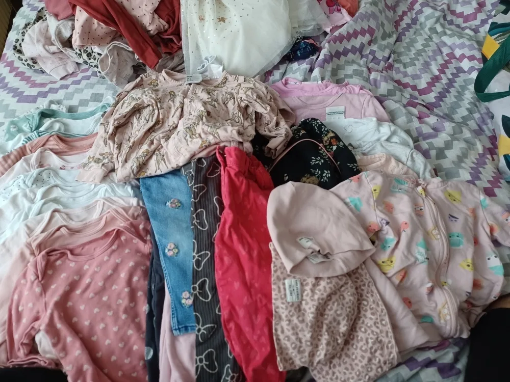 0d4eh10u7062.webp