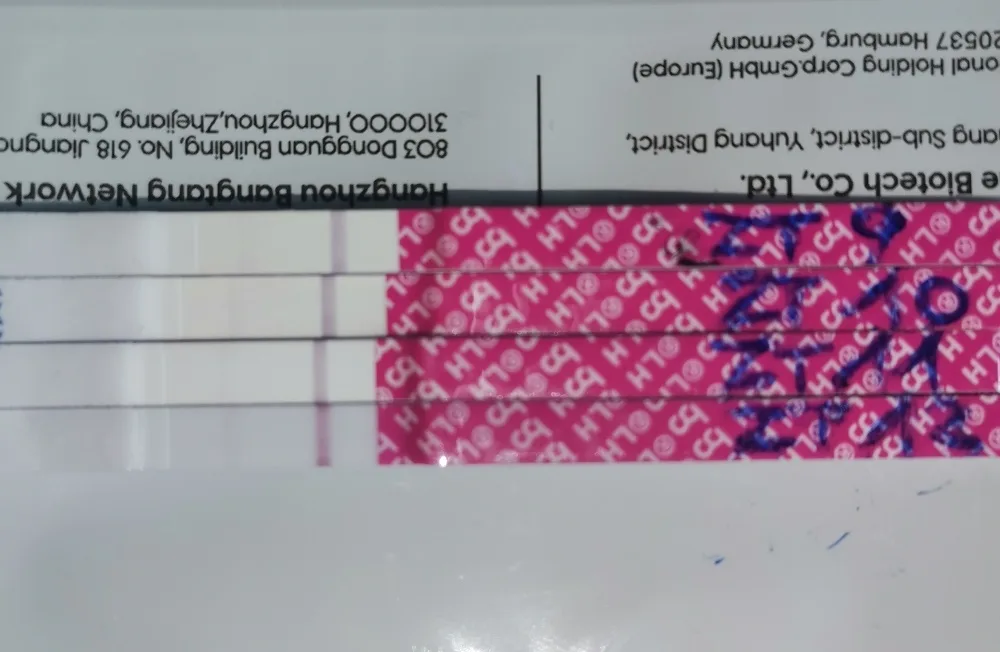 w3l4m7zrolgi.webp