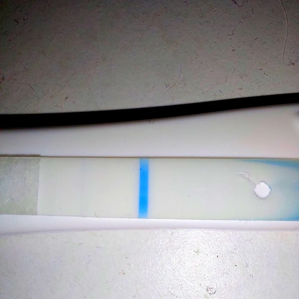mwpq6ujoxq7r.webp