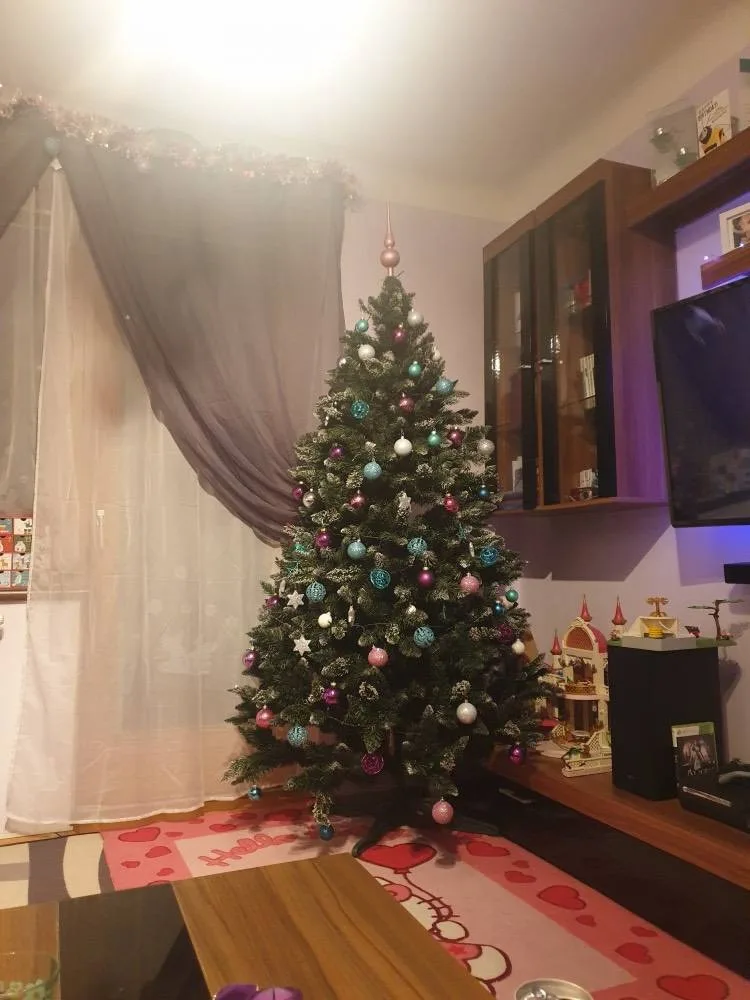 czt4v709dsc6.webp
