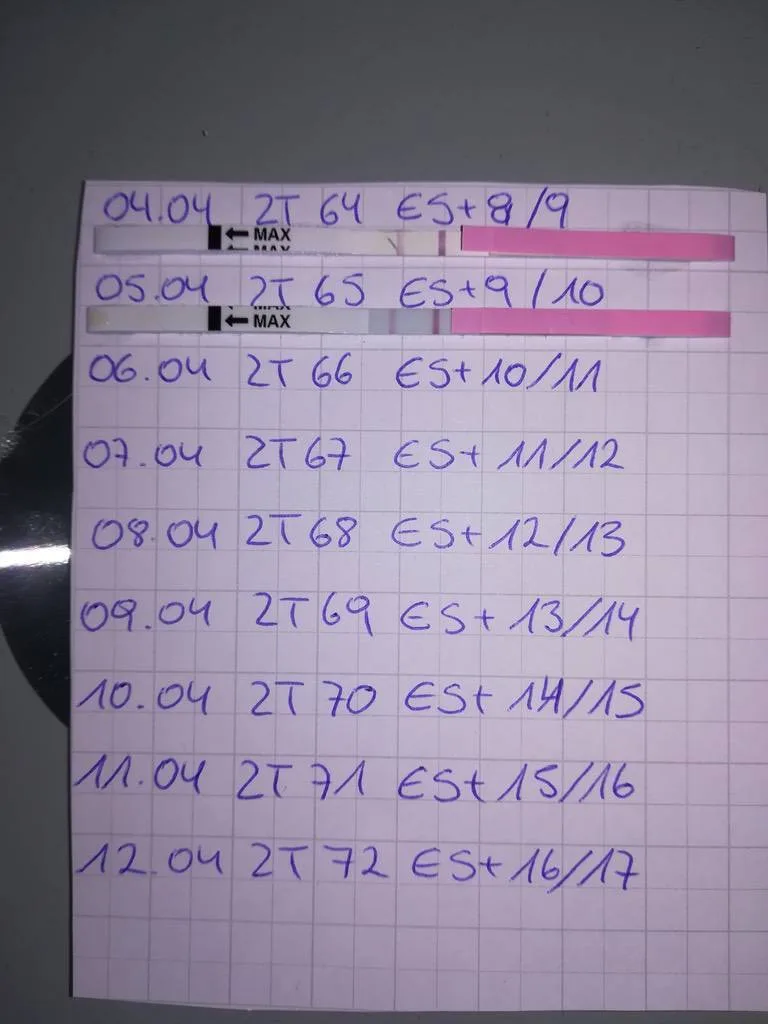 6pcgw53nxscd.webp