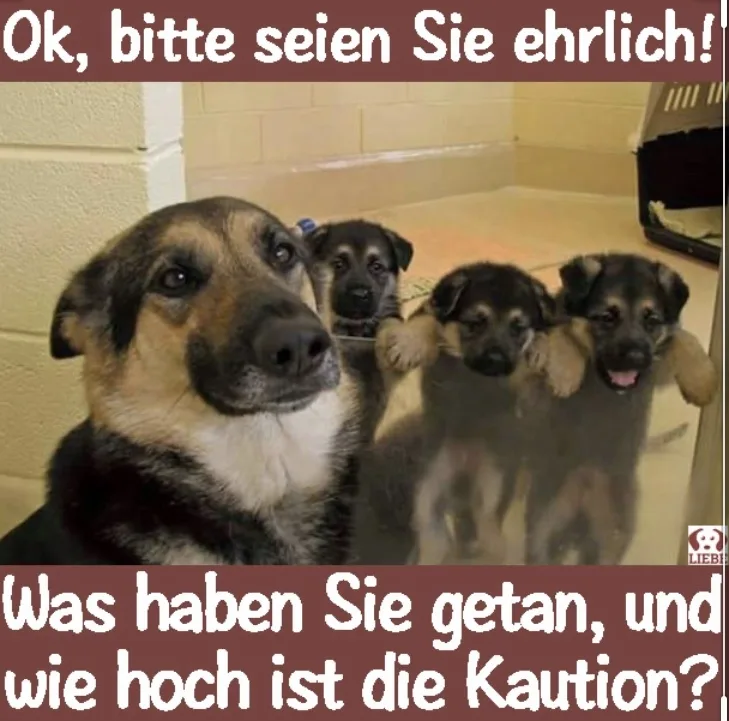 97501y6dqy4l.webp