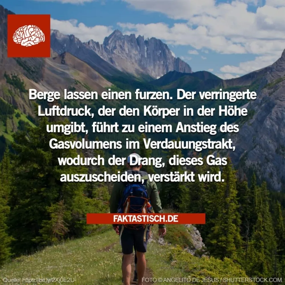 alhpa0jjsyt7.webp