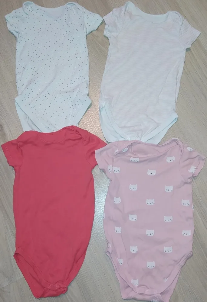 p5n9eo3bsh53.webp