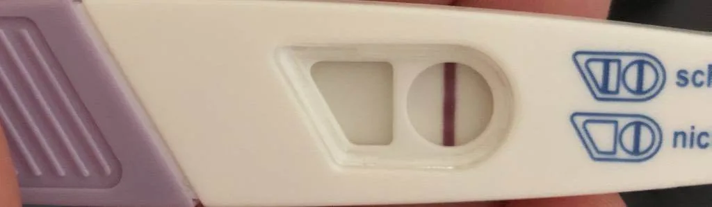 69gimwozuuaj.webp